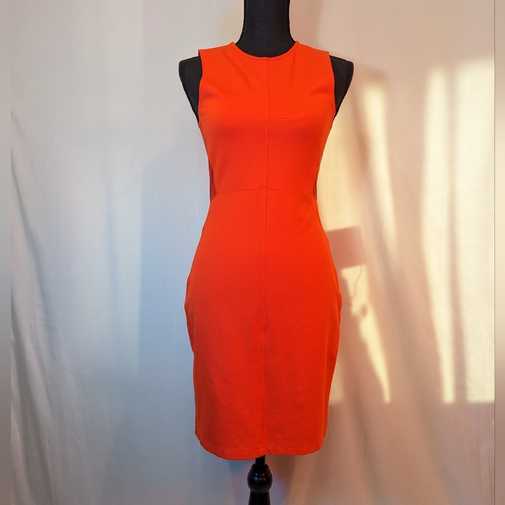 French Connection Mini Bodycon Dress with Sheer Cut Out
